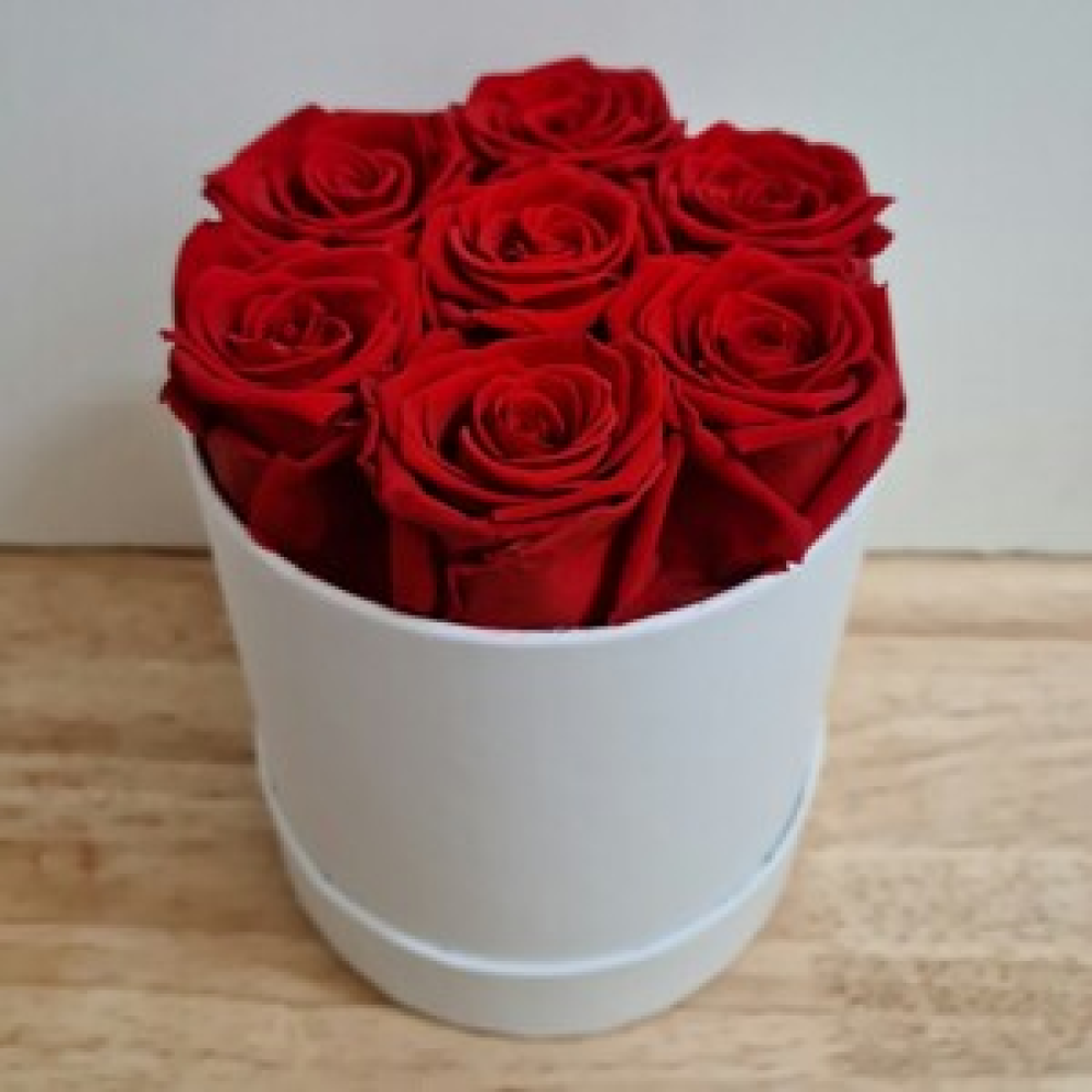7 Preserved Red Roses